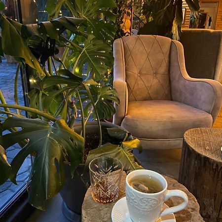 Guest House Rest Cherni Osum Экстерьер фото